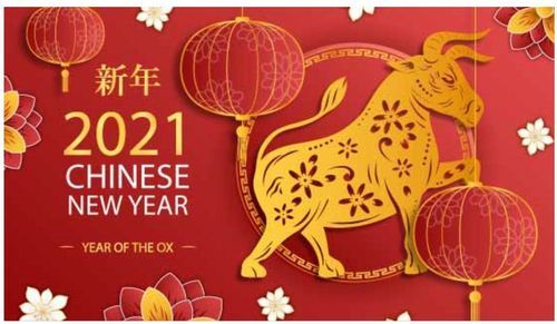 河南盛順凱新型建筑材料有限公司祝大家新年快樂(lè)，牛年更比一年牛！